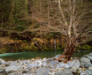 SmithRiver67-16bit002