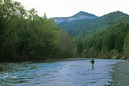 MattoleRiver0003