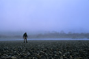 MattoleRiver0015