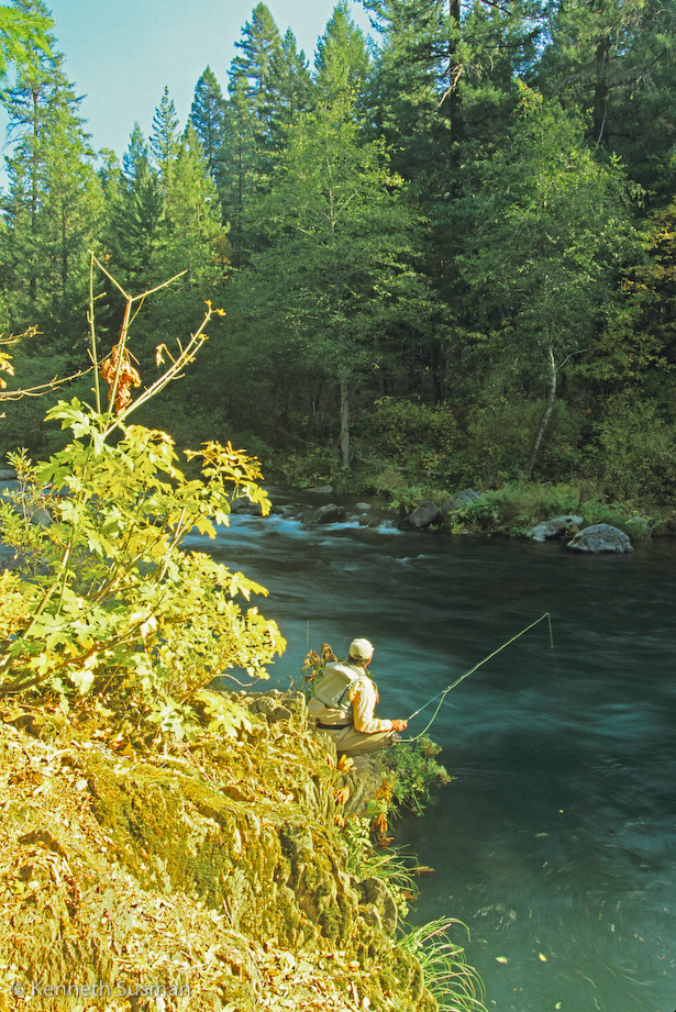 McCloud0033